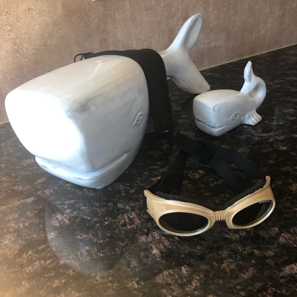 Doggles ( dog sunglasses )